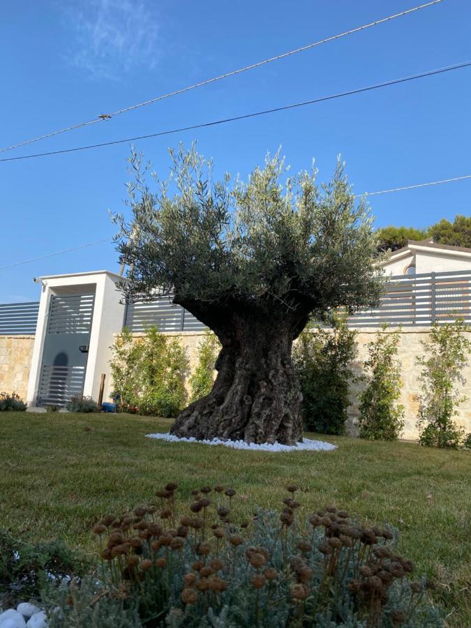 Villa Palladino Rooms Giovinazzo Εξωτερικό φωτογραφία